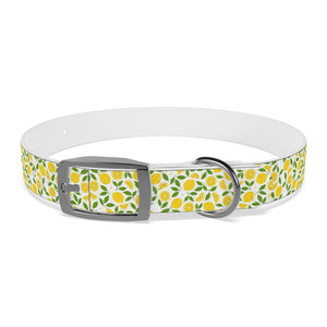 Personalized Lemon Dog Collar Girl. Adjustable Pet Accessory, Unique Dog Gear, Stylish Dog Necklace, Fruit Dog Collar, Gift for Dog Lover