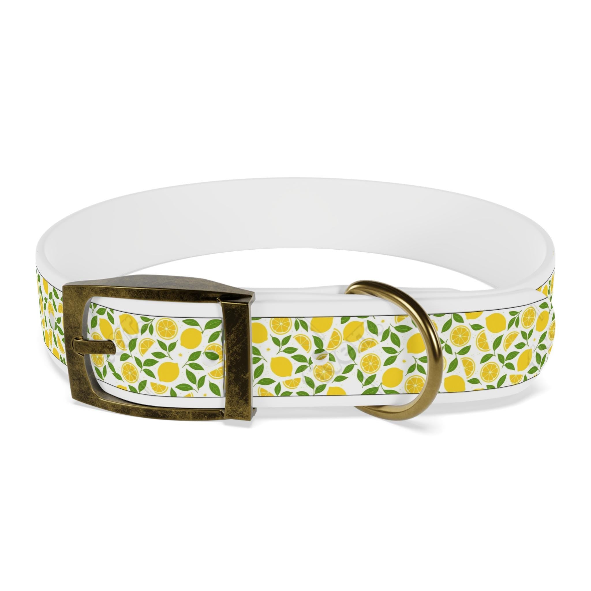 Personalized Lemon Dog Collar Girl. Adjustable Pet Accessory, Unique Dog Gear, Stylish Dog Necklace, Fruit Dog Collar, Gift for Dog Lover