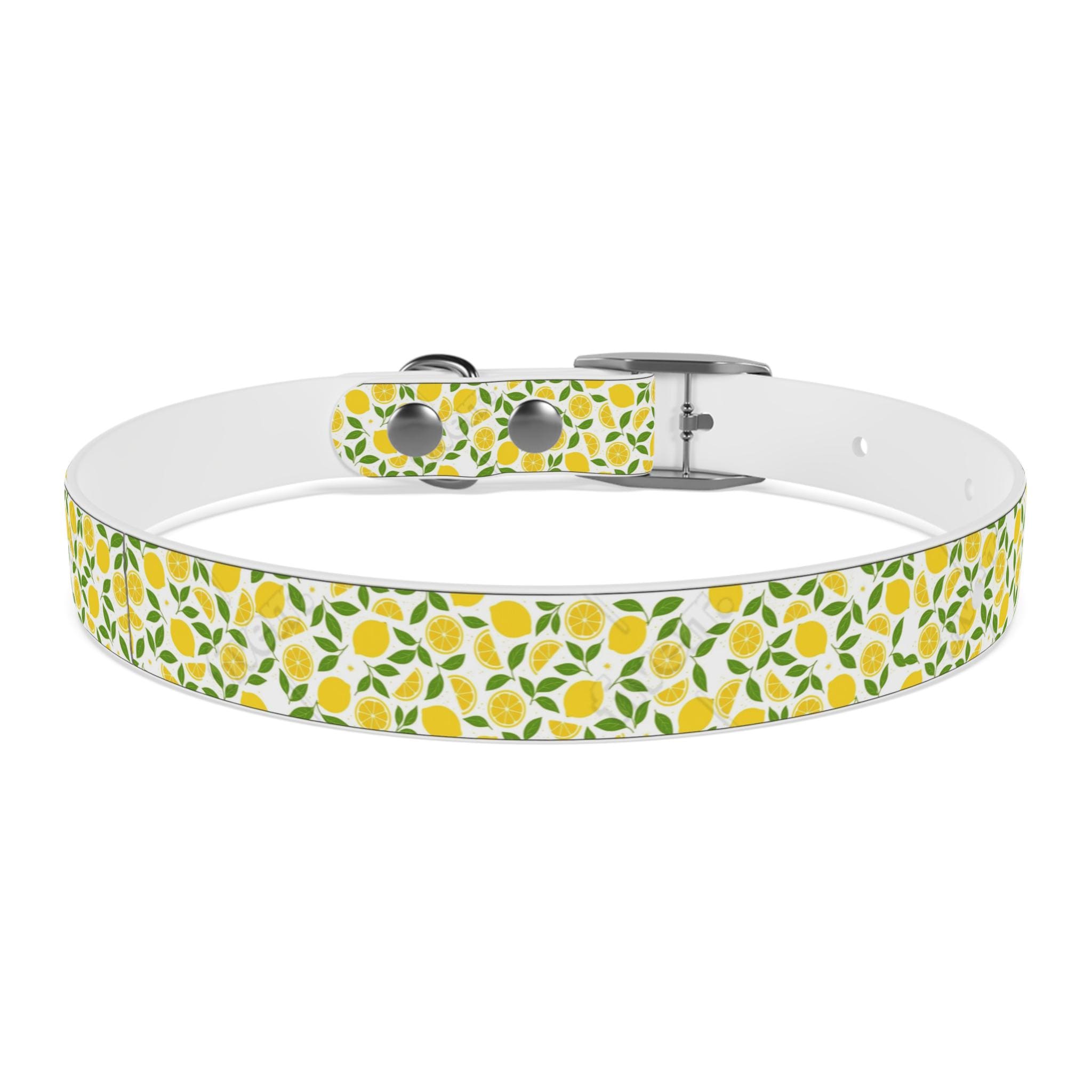 Personalized Lemon Dog Collar Girl. Adjustable Pet Accessory, Unique Dog Gear, Stylish Dog Necklace, Fruit Dog Collar, Gift for Dog Lover